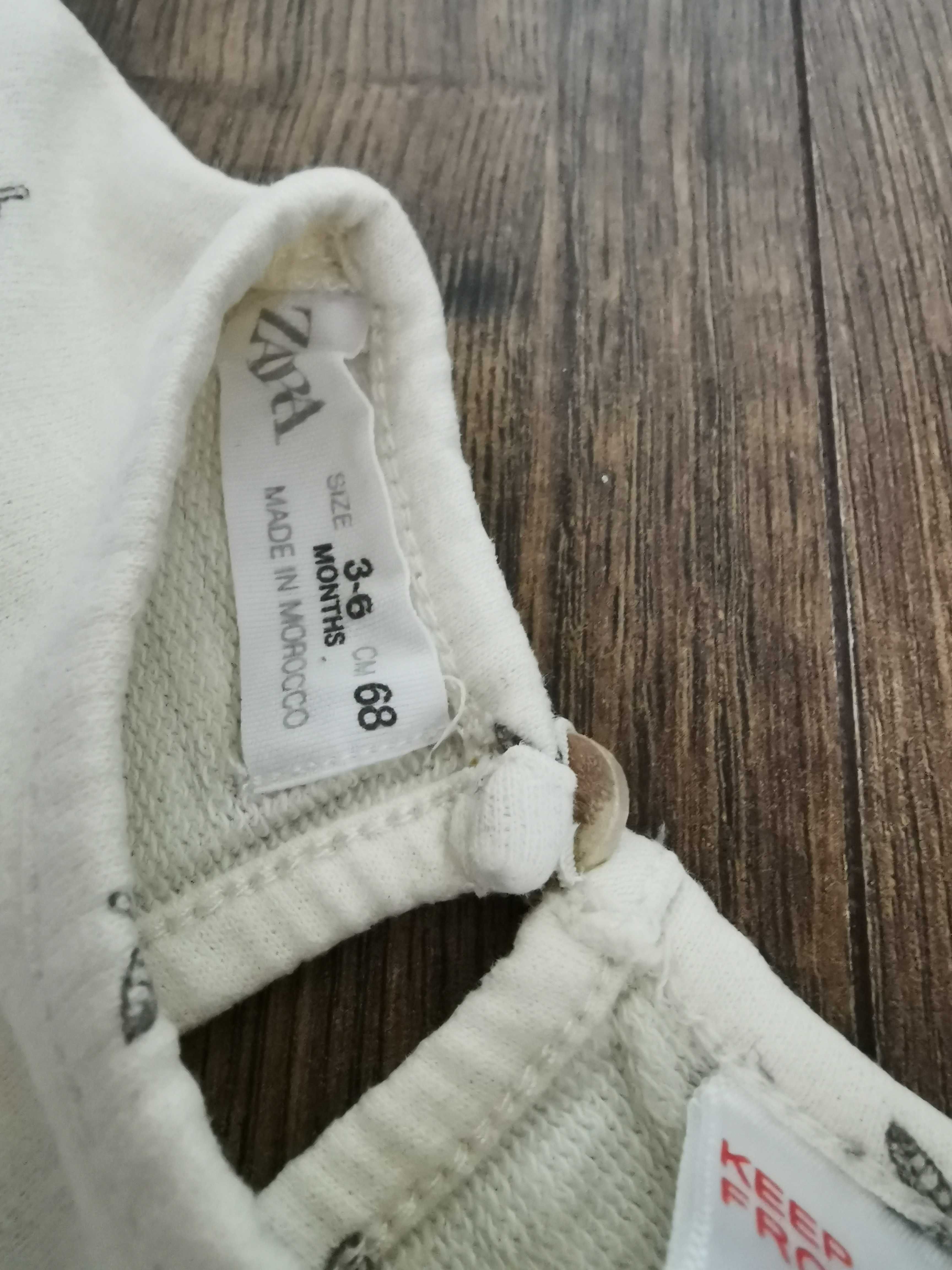 Sukienka Zara 68 bluzeczka majteczki bloomersy komplet Zara bluzka