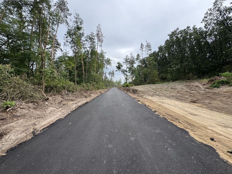 Продаж ділянок у сосновому лісі від 10-12-25 соток КМ Нова Ходосівка