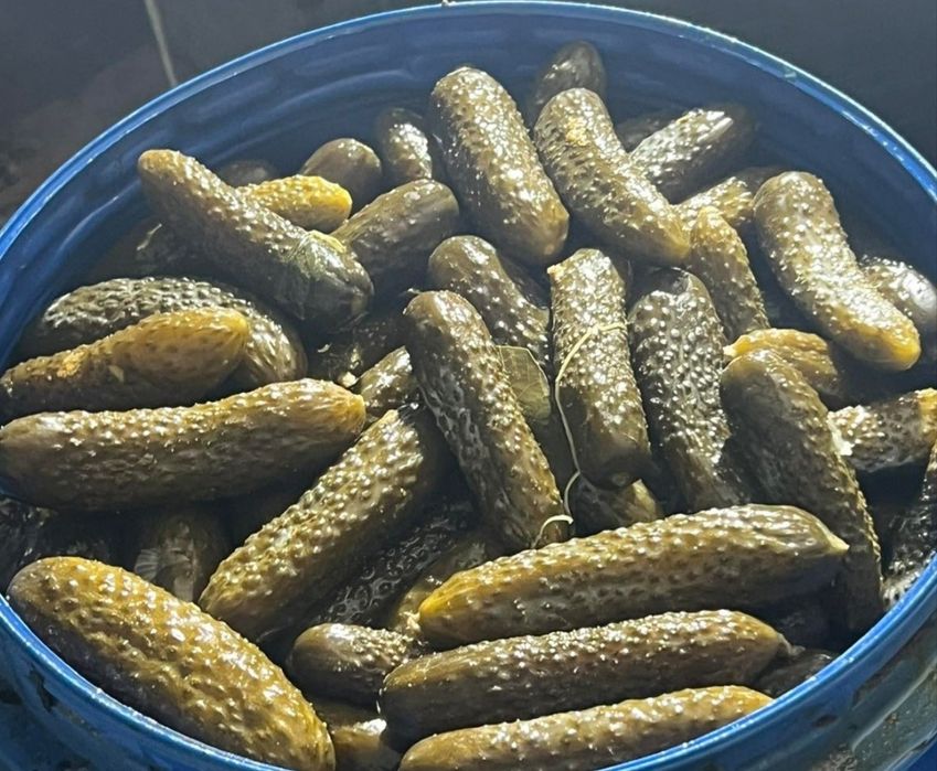 Продам квашені огірки помідори та яблука