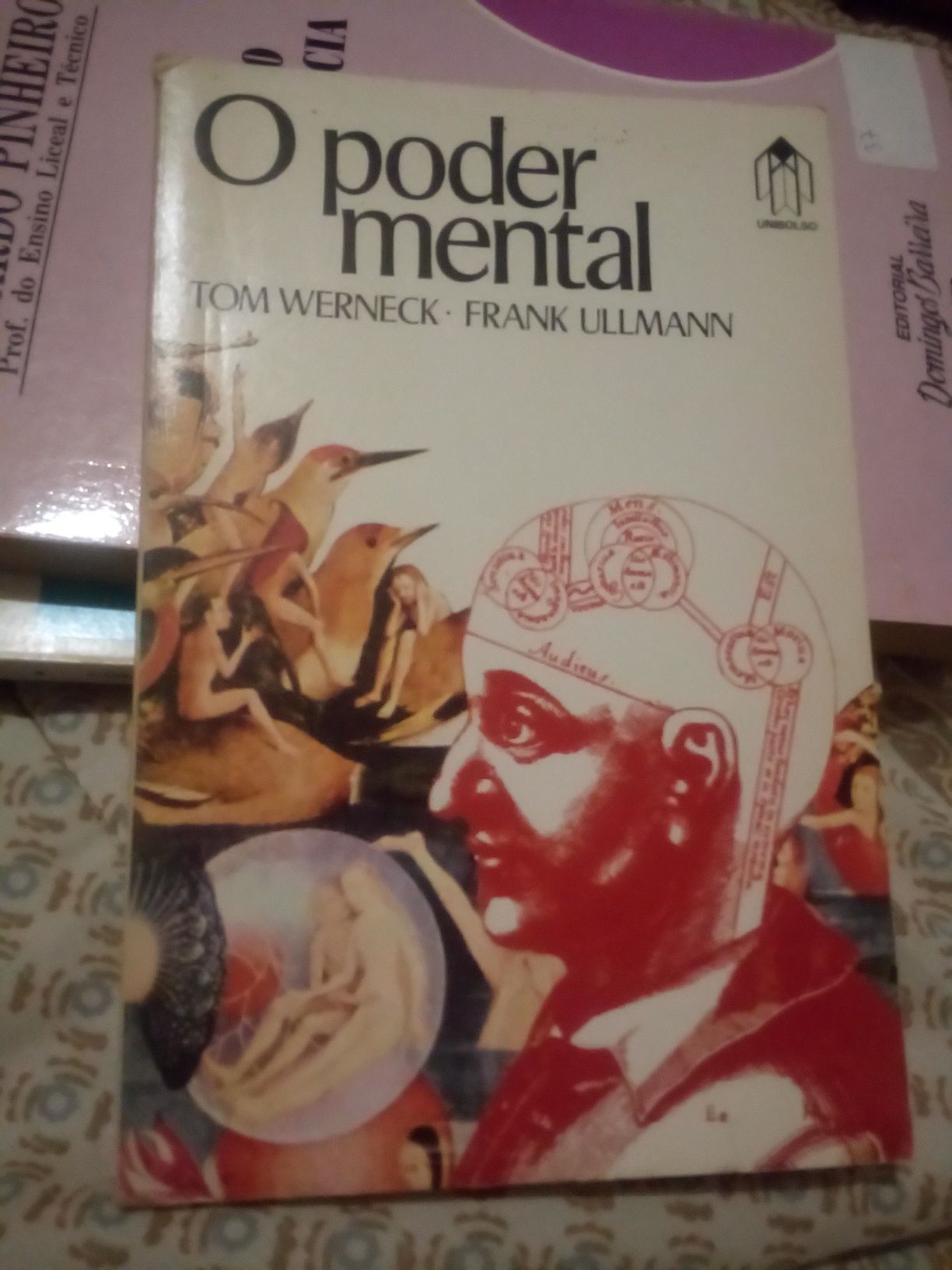 Pequeno lote livros de vários títulos