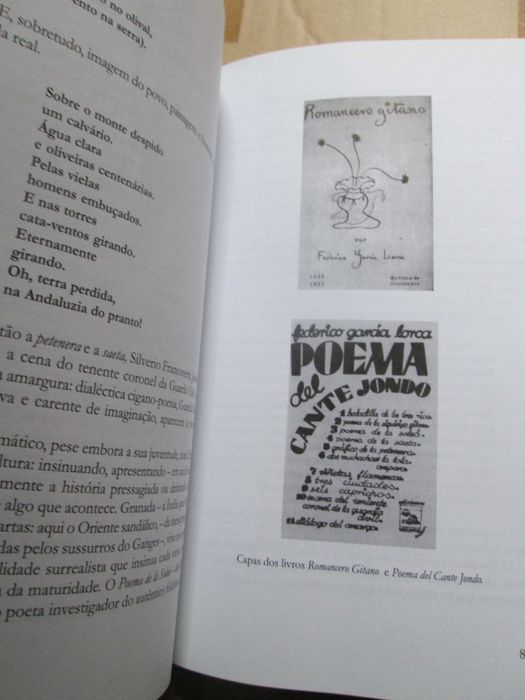 Eu, García Lorca, de Andrés Sorel