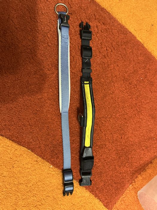 два нашийники для собак