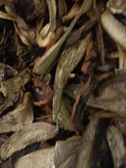 Продам підосиновик, козарі