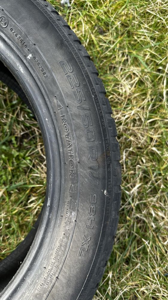 Opona ziomowa Nokian WR D3 225/50/17