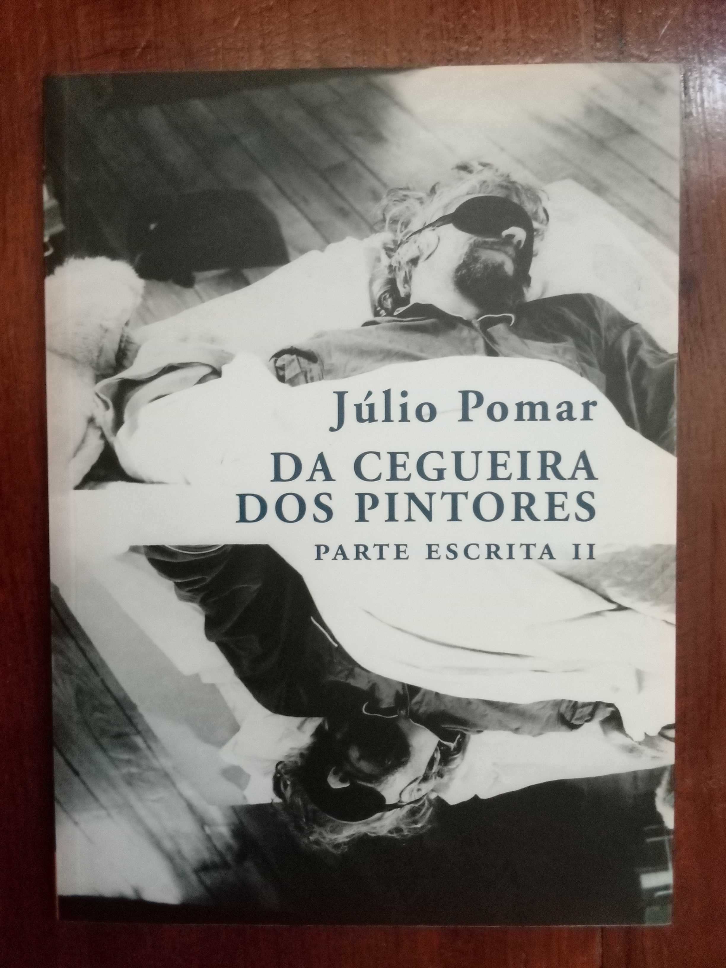 Júlio Pomar - Da cegueira dos pintores, parte escrita II