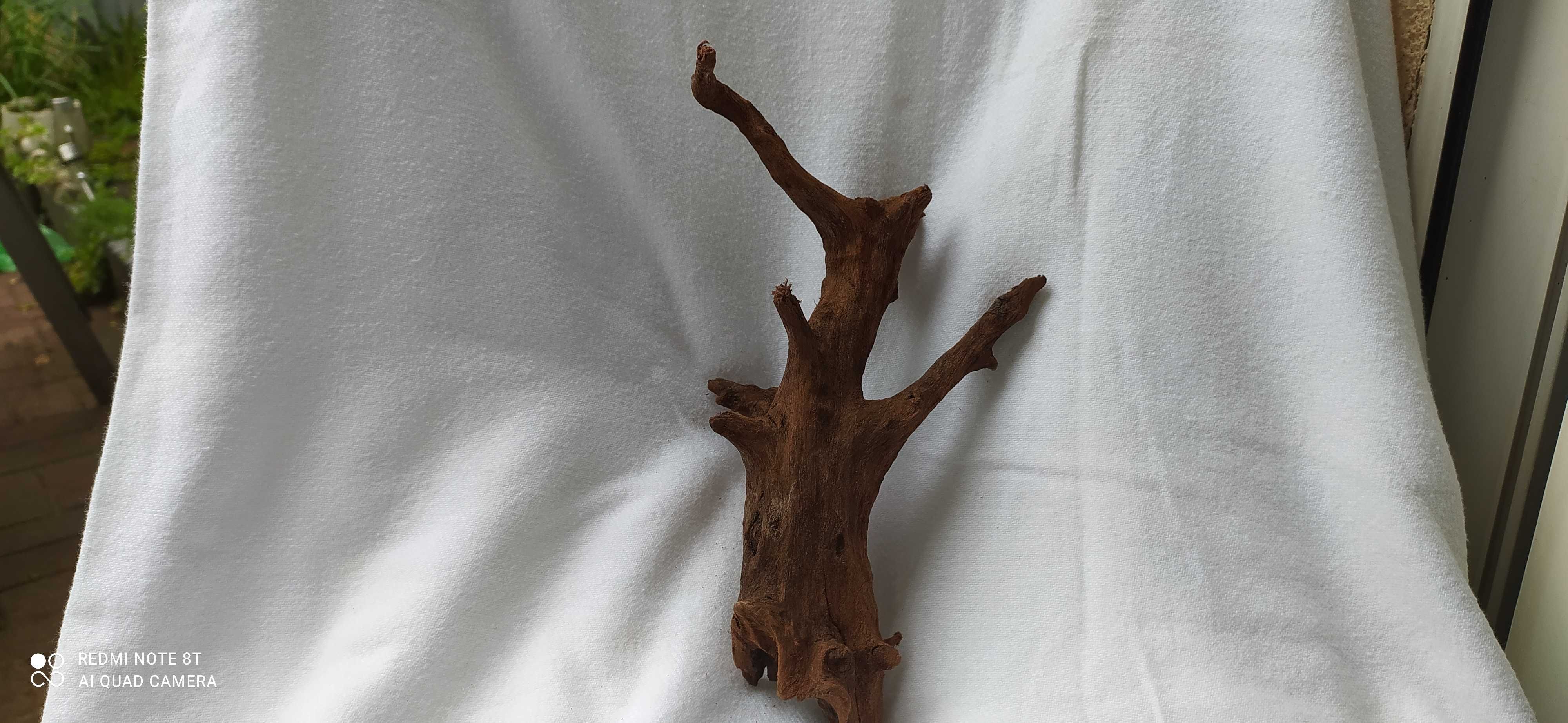 Korzeń do akwarium-24 cm