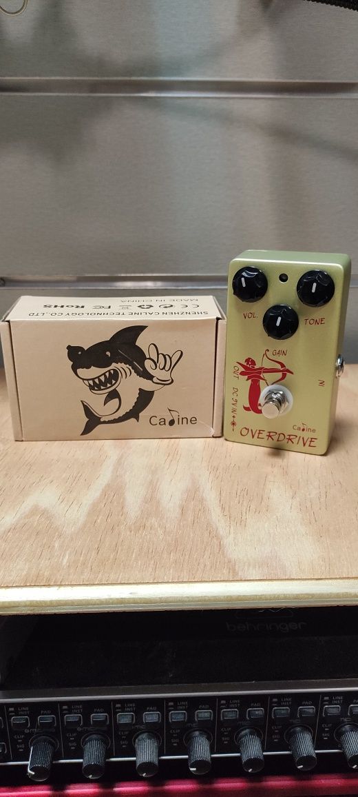 Caline medusa "clone do klon"