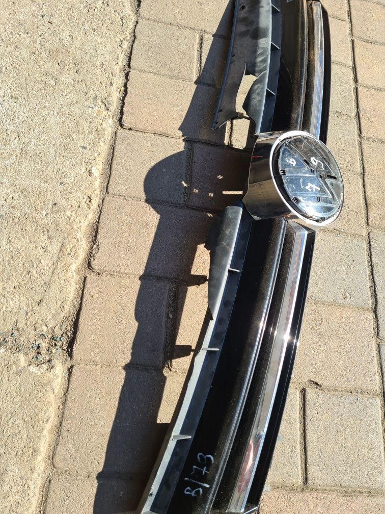 Grill atrapa sharan