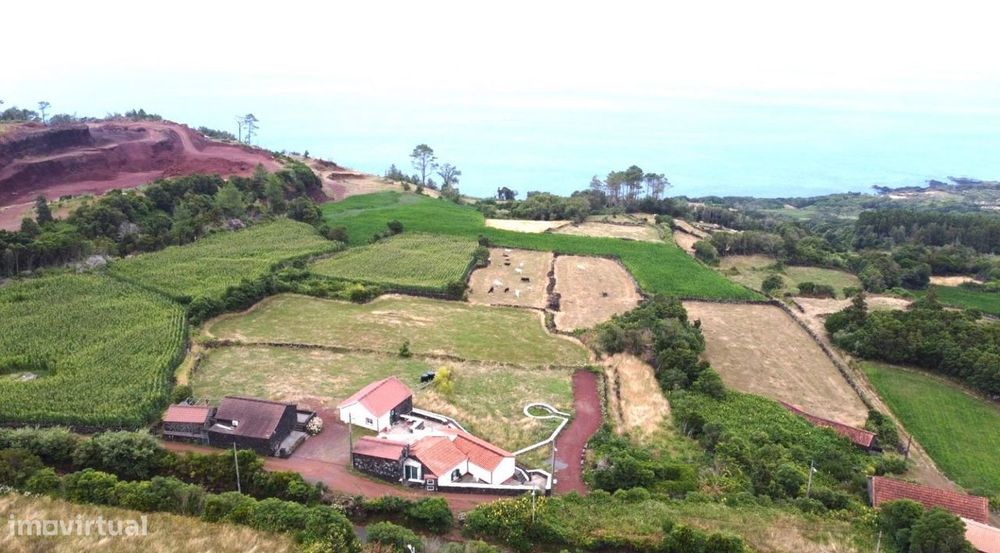 Fantastica Quinta- Prainha- Ilha do Pico  - T2 + Estudio  -...