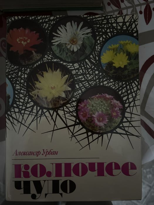 Колючее чудо Александр Урбан кактусы издательство Веда