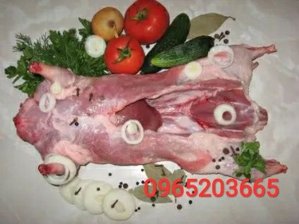 Продам м'ясо нутрій, молодняк.