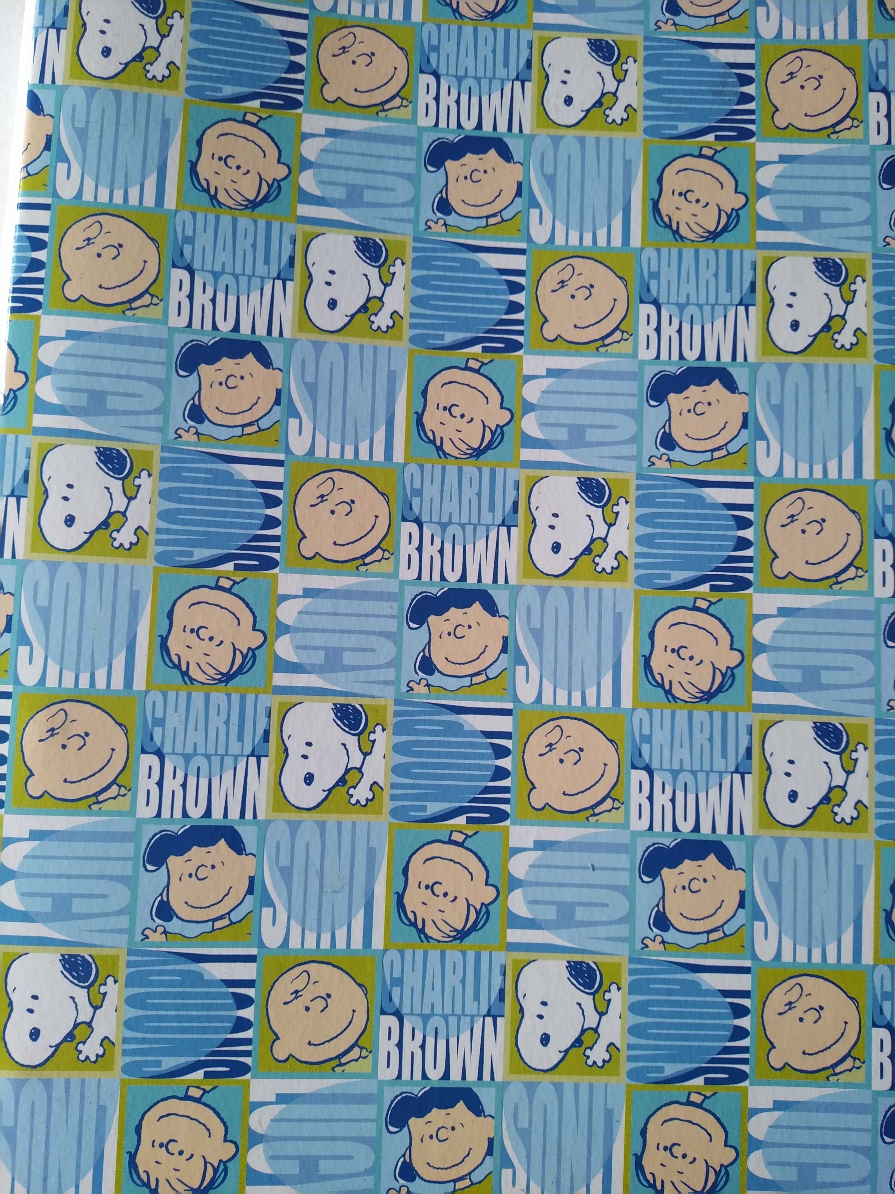 2 Capas vintage do Snoopy e Charlie Brown