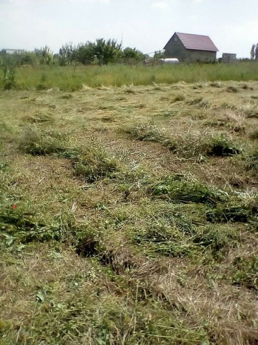 Цена за 8 соток. Продам участок с. Санжейка