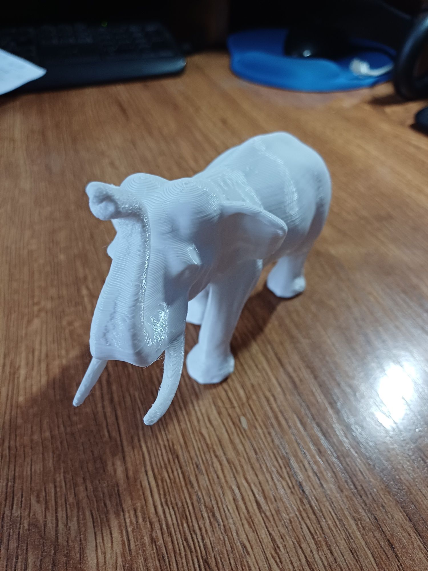 3д модель Слона білий