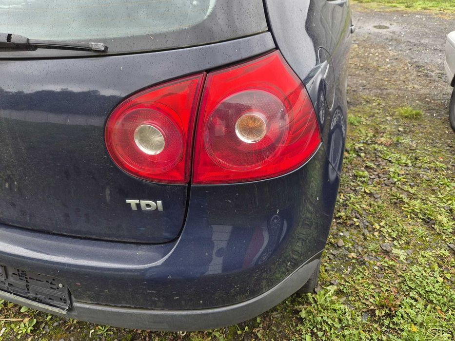 Volkswagen Golf V 1.9 TDI BLS, rok 2007, kolor (A5G D3).