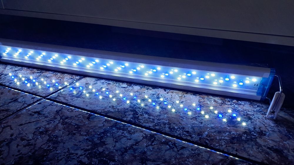 Iluminação led para aquário