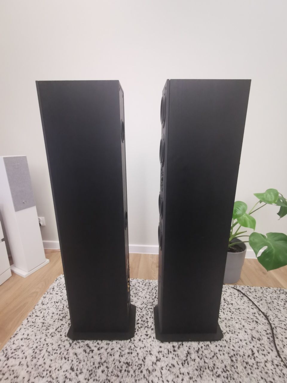 Duńskie kolumny System Audio SA-1250