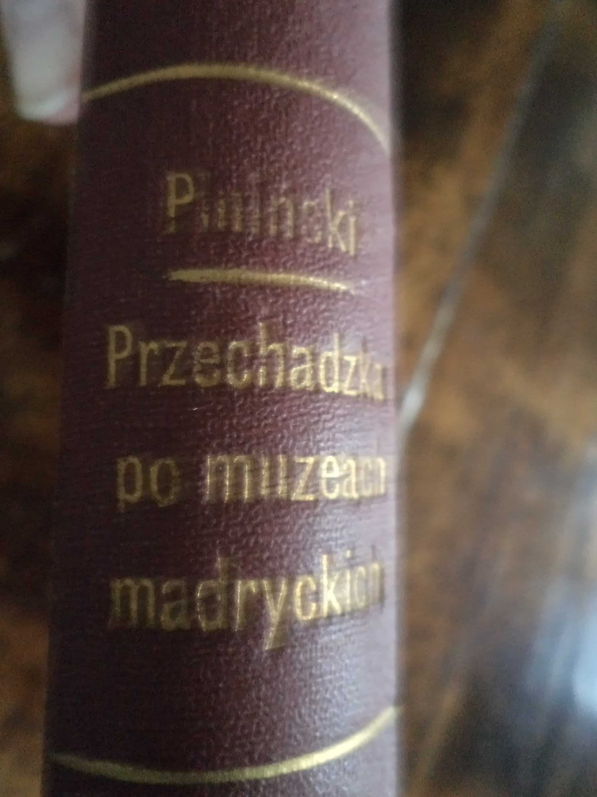 Przechadzka po Muzeach Madryckich - Leon Piniński 1908r.