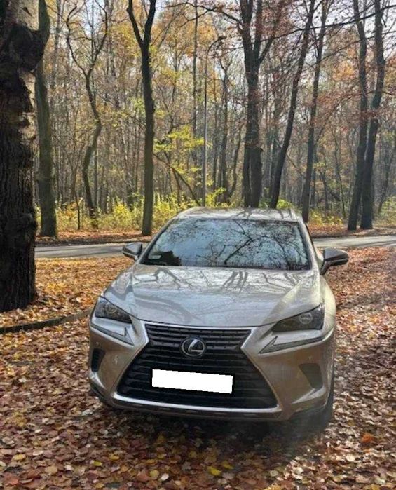 Lexus NX 300 Elegance Optimum AWD