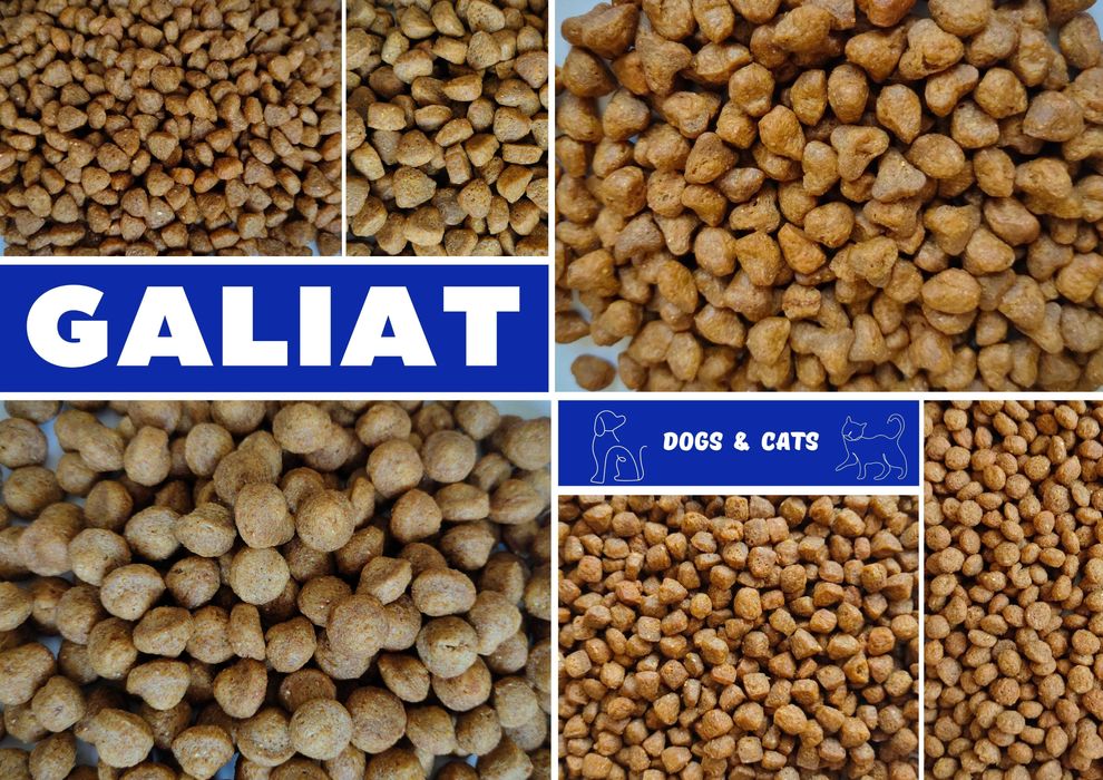 Сухий корм для собак Міні 2 х 10