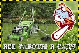 Обрезка и лечение можевельников, хвойных растений.