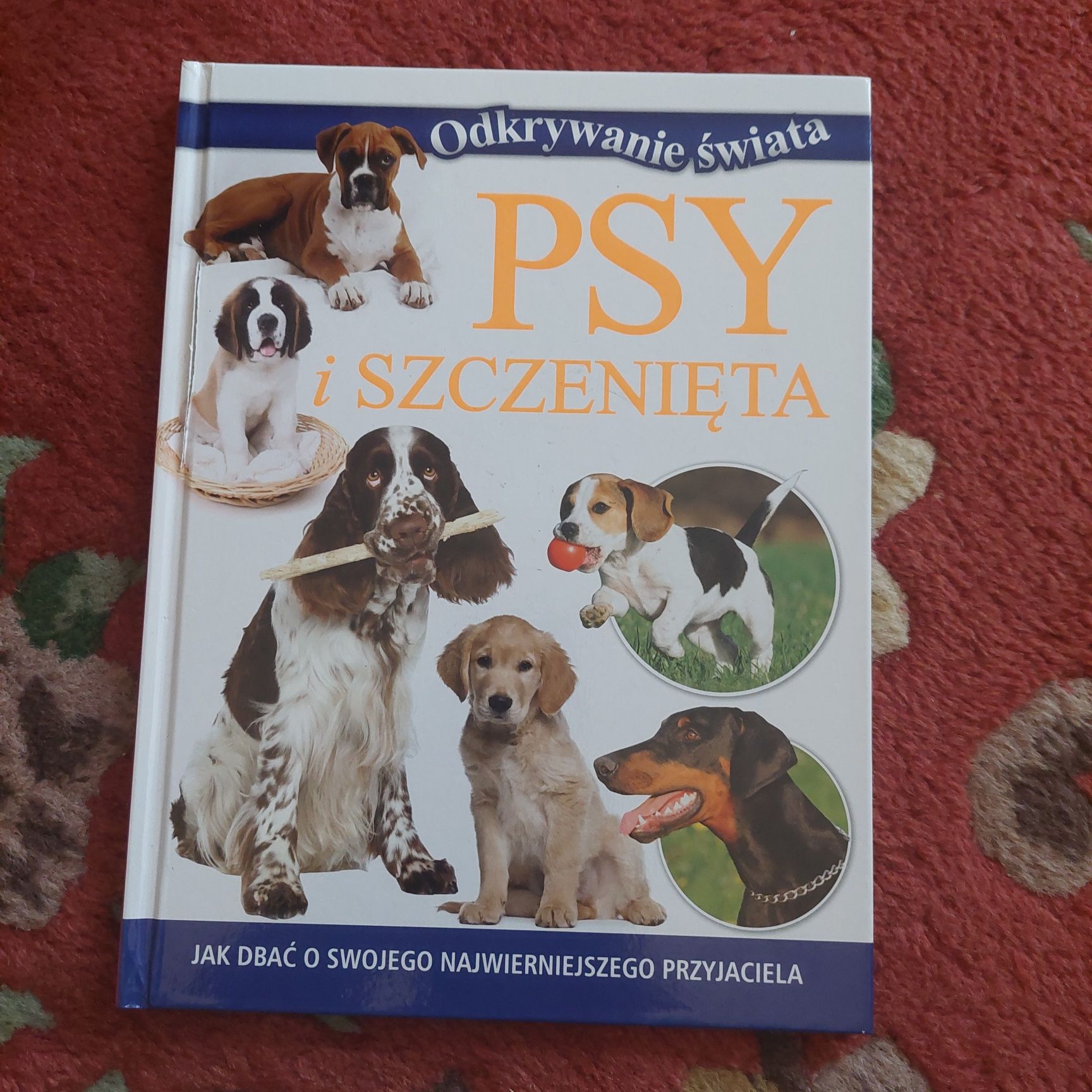 Psy i szczenięta odkrywanie świata