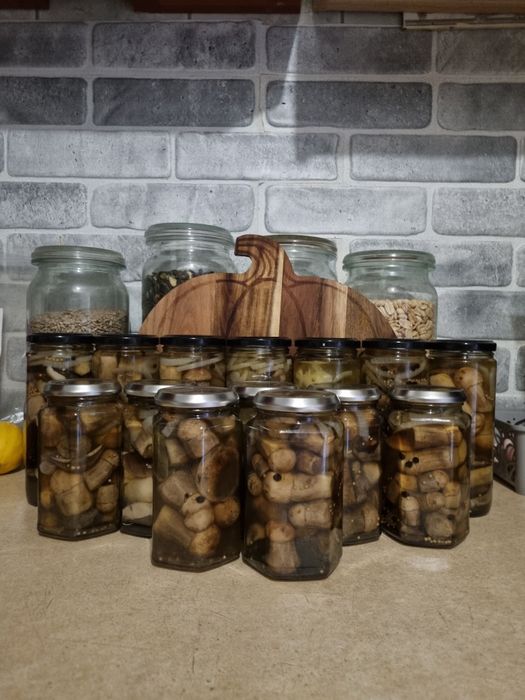 Grzyby suszone I marynowane opieńki Borowik Rydze Podgrzybek