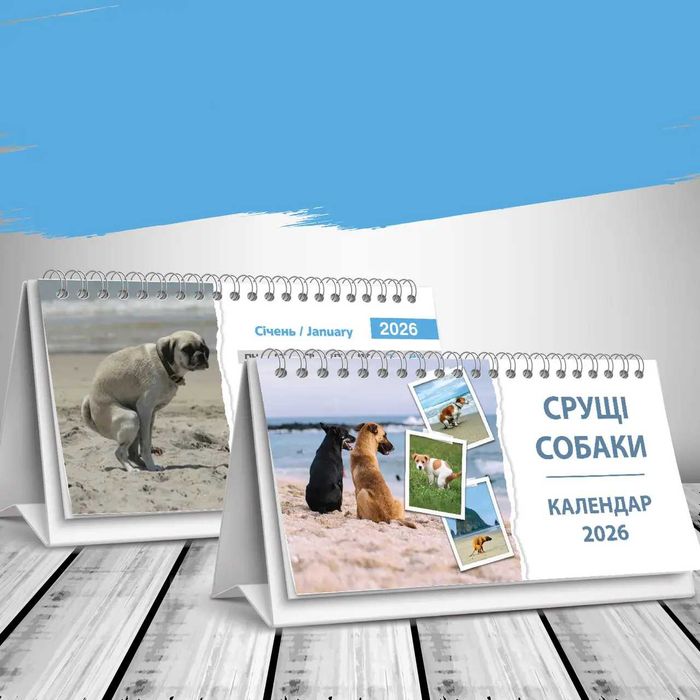 Календар настільний будиночок на 2026 рік - "Срущі собаки"