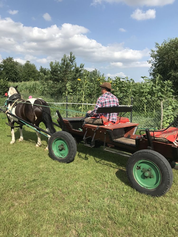 Agroturystyka u Grażki