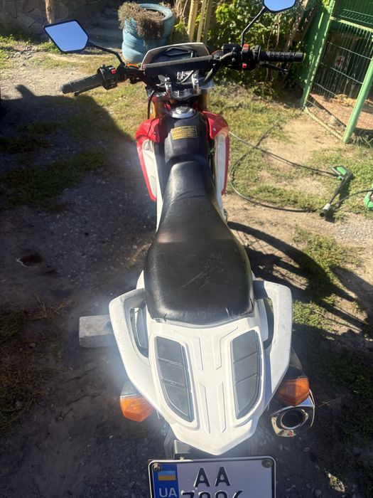 Продам надійного ,живого Geona