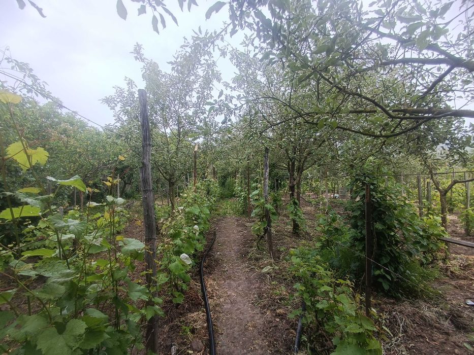 ПРОДАЖ 4-х кімнатного будинку 136 кв.м у хорошому районі,велика ділянк