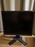 Monitor 19" - EIZO FlexScan S1921