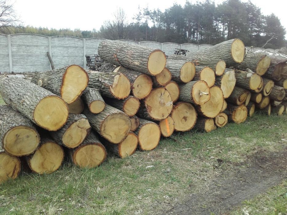 Drewno kominkowe opałowe Warszawa i okolice