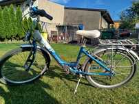Rower Arkus Panda City