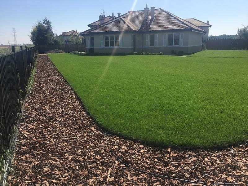 Zakładanie Trawnika Trawników Ogrodu Trawa z Rolki z Siewu Trawnik