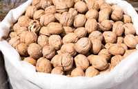 Грецкие орехи не чищеные грецкий орех в мешках по 25 кг. Урожай 2021