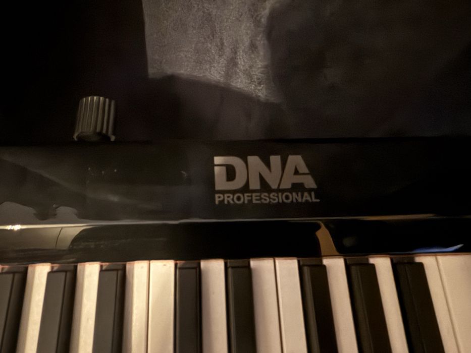 Pianino cyfrowe DNA SP 88