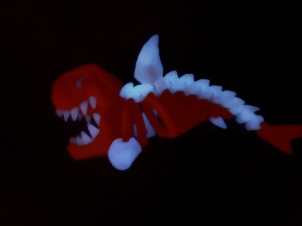 Rekin świecący w ciemności