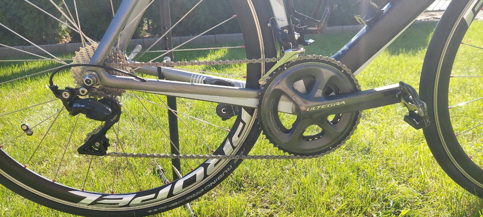 Szosa Giant Propel Advenced