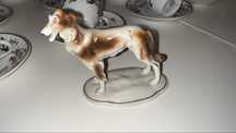 Candal cao Galgo