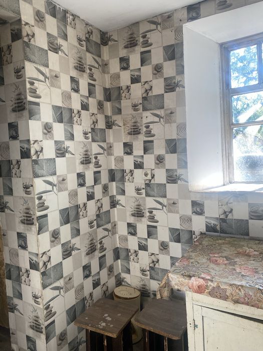 Будинок в Грушівці з великою ділянкою