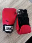 Luvas everlast 12oz
