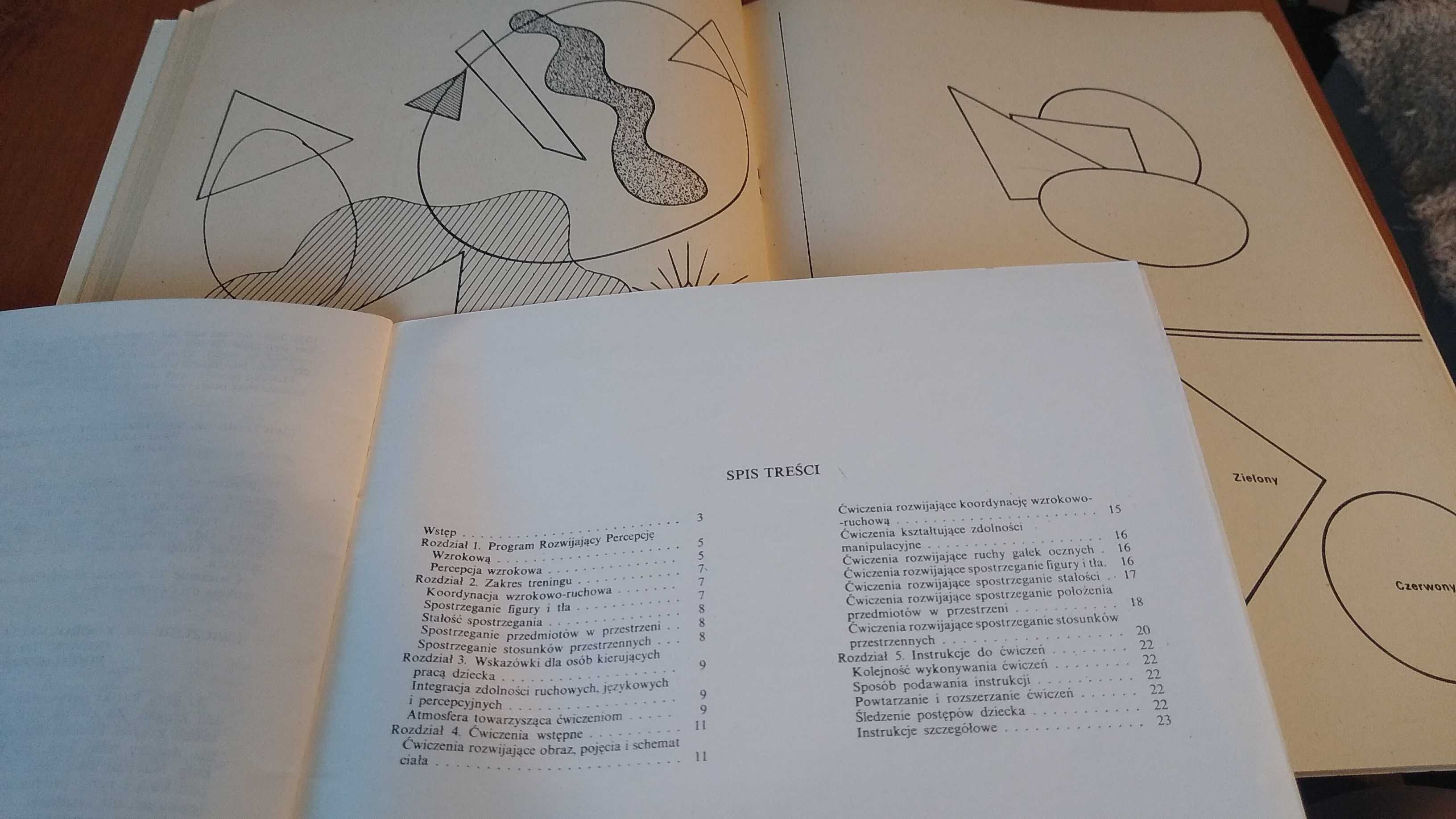 Wzory i obrazki program rozwijający percepcję wzrokową p średni Horne