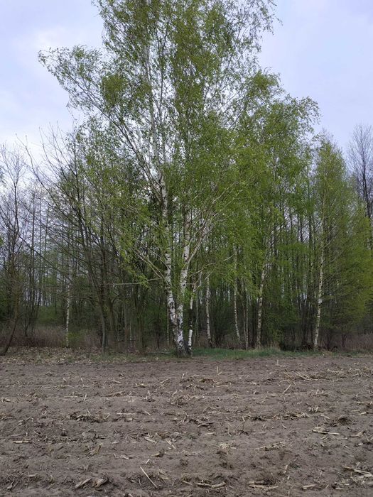 Działka ŚWIERKOWO/W-wa, Legionowo, Pułtusk, Maków, Wyszków, Nasielsk