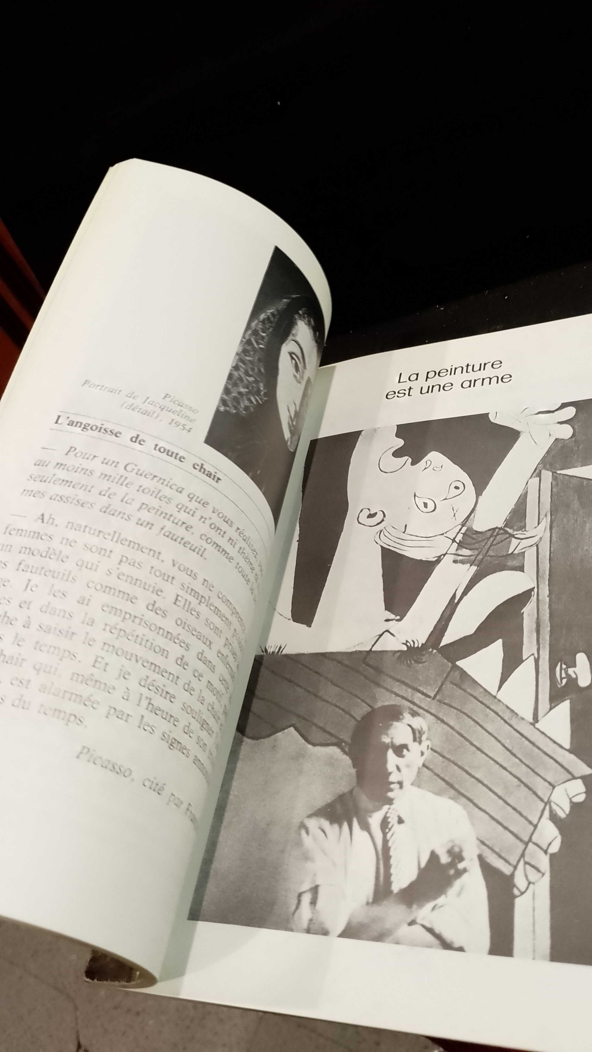 Picasso - Histoire D'une Recherche
