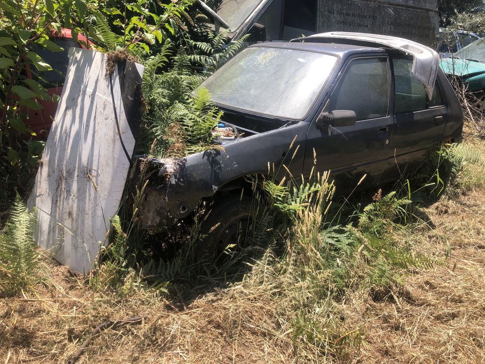 Peugeot 205 gasoleo peças