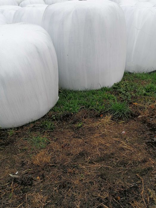 sprzedam sianokiszonka sianokiszonke