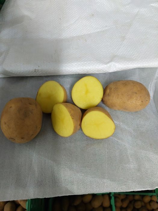 Ziemniaki Jadalne ,,Marabel,,