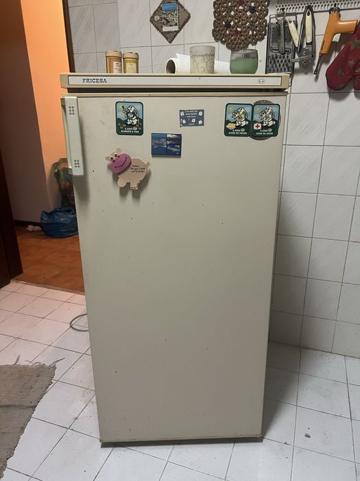 Frigorifico pada venda