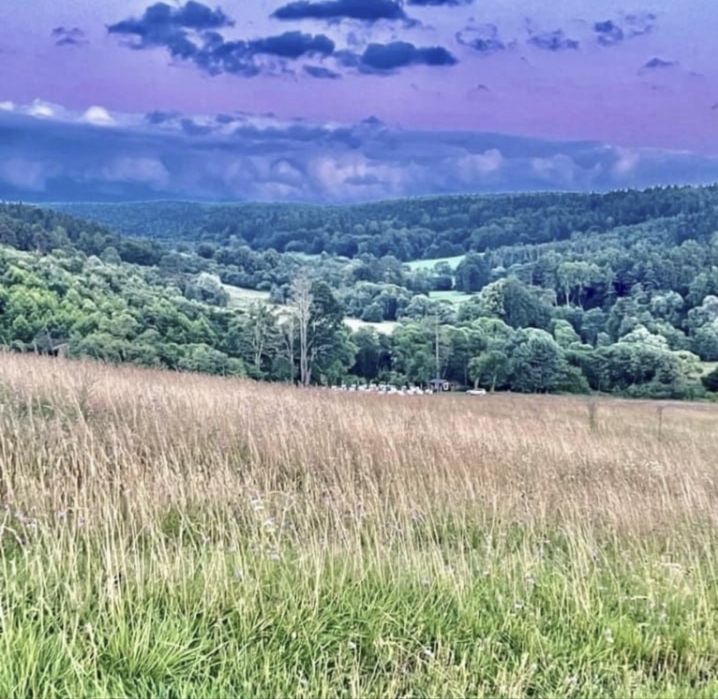 Miód spadziowy-spadź iglasta         2 x słoik 1250g/900ml